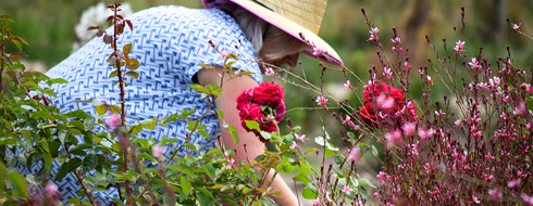 Friends of the Garden