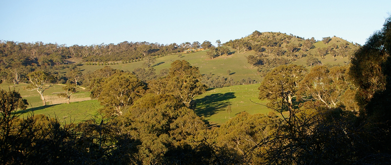 Mt Barker summit